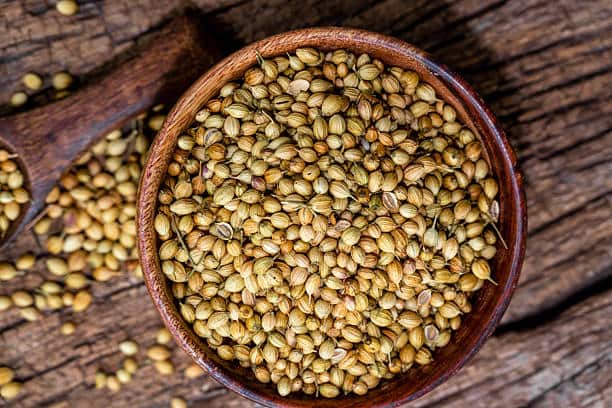 تصویر 3 از خرید و قیمت تخم گشنیز تازه + فروش عمده